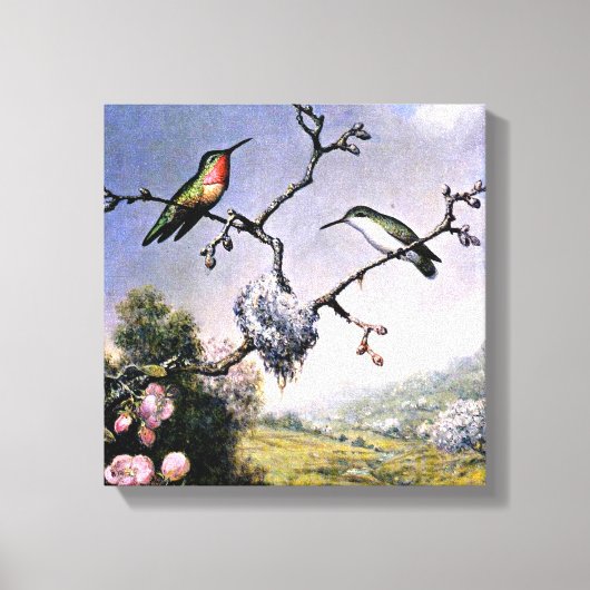 Hummingvogels en appelbloesems, canvas afdruk (Voorkant)