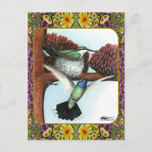 Hummingvogels en bloemen #3 briefkaart (Voorkant)
