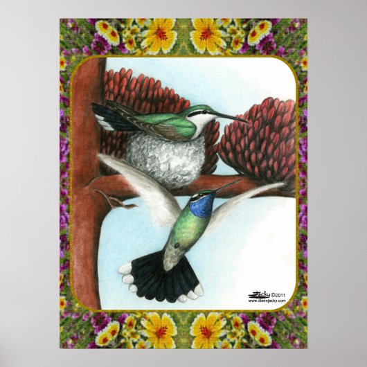Hummingvogels en bloemen #3 poster (Voorkant)