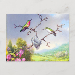Hummingvogels en bloesems briefkaart