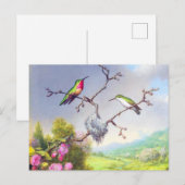 Hummingvogels en bloesems briefkaart (Voorkant / Achterkant)