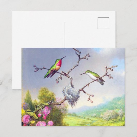 Hummingvogels en bloesems briefkaart (Voorkant / Achterkant)