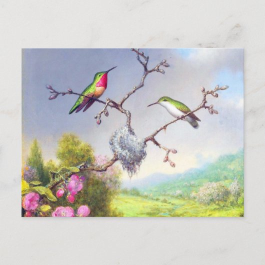 Hummingvogels en bloesems briefkaart (Voorkant)