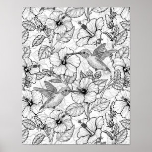 Hummingvogels en hibiscus bloemen b&w poster