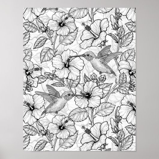 Hummingvogels en hibiscus bloemen b&w poster (Voorkant)