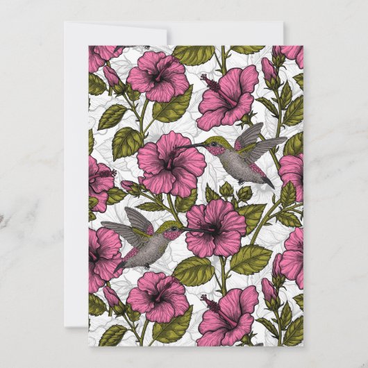 Hummingvogels en roze hibiscus bloemen (Voorkant)