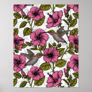 Hummingvogels en roze hibiscus bloemen poster