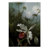 Hummingvogels en White Orchid van Martin J. Heade (Voorkant)