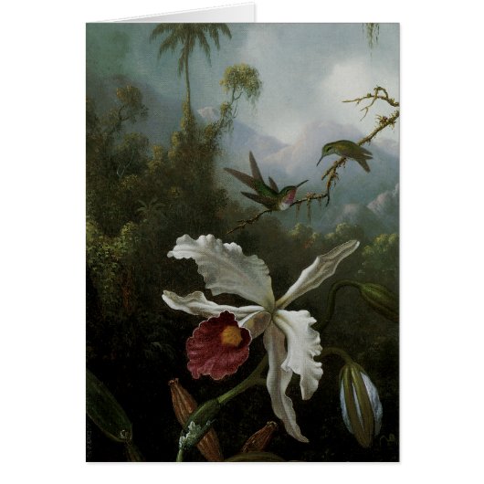 Hummingvogels en White Orchid van Martin J. Heade (Voorkant)
