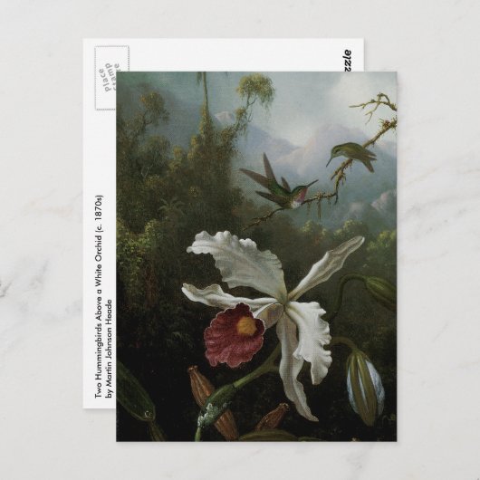 Hummingvogels en White Orchid van Martin J. Heade Briefkaart (Voorkant / Achterkant)