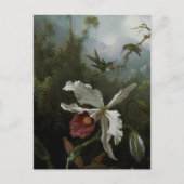 Hummingvogels en White Orchid van Martin J. Heade Briefkaart (Voorkant)