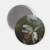Hummingvogels en White Orchid van Martin J. Heade Magneet (Voorkant / Achterkant)