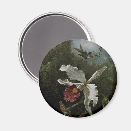 Hummingvogels en White Orchid van Martin J. Heade Magneet (Voorkant / Achterkant)
