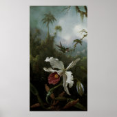 Hummingvogels en White Orchid van Martin J. Heade Poster (Voorkant)