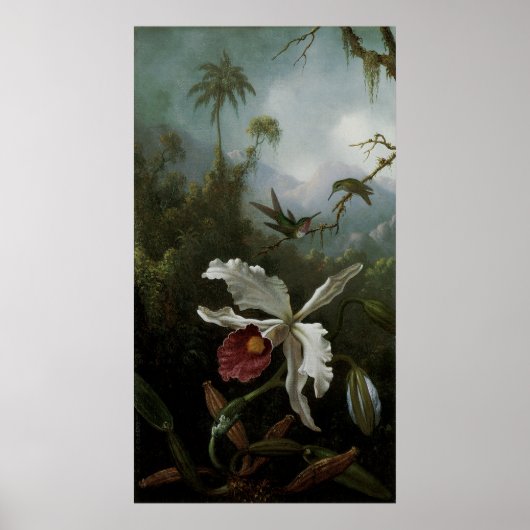 Hummingvogels en White Orchid van Martin J. Heade Poster (Voorkant)