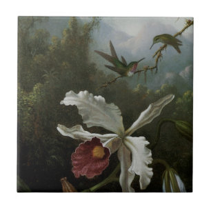 Hummingvogels en White Orchid van Martin J. Heade Tegeltje