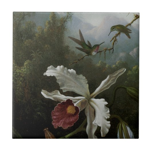 Hummingvogels en White Orchid van Martin J. Heade Tegeltje (Voorkant)