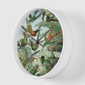 Hummingvogels - Ernst Haeckel (Hoek)