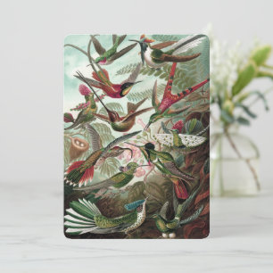 Hummingvogels - Ernst Haeckel Kaart