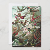 Hummingvogels - Ernst Haeckel Kaart (Voorkant)