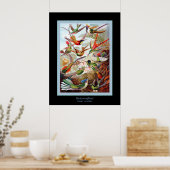 Hummingvogels ~ Ernst Haeckel Poster (Keuken)