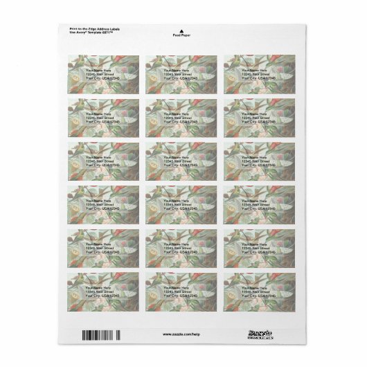 Hummingvogels Etiket (Full Sheet)