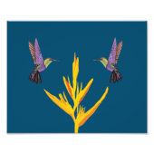 Hummingvogels Foto Afdruk (Voorkant)