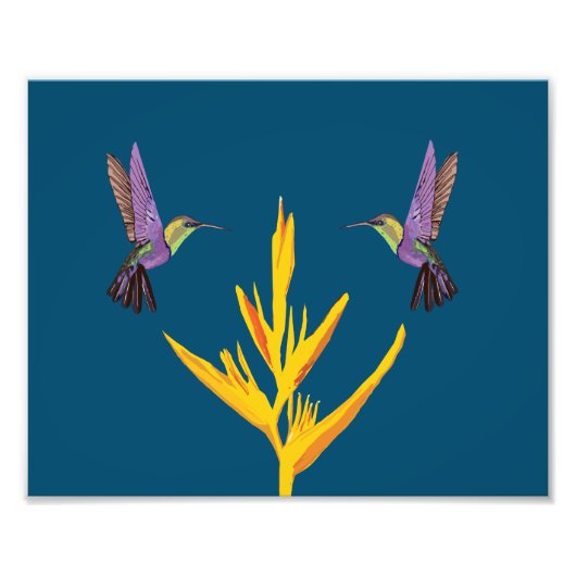 Hummingvogels Foto Afdruk (Voorkant)