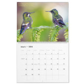Hummingvogels Fotografie 2023 Kalender (Mar 2026)
