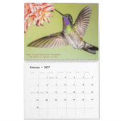 Hummingvogels Fotografie 2023 Kalender (Feb 2027)
