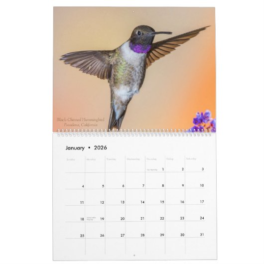 Hummingvogels Fotografie 2023 Kalender (Jan 2026)