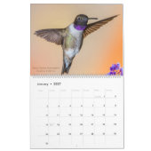 Hummingvogels Fotografie 2023 Kalender (Jan 2027)