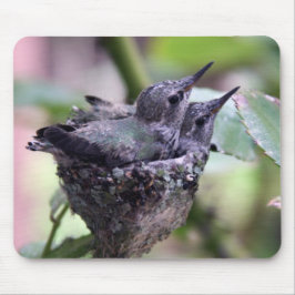 Hummingvogels Fotografie mousepad Muismat