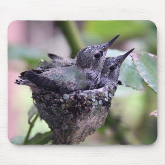 Hummingvogels Fotografie mousepad Muismat (Voorkant)