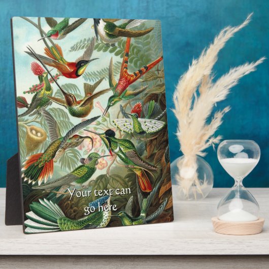 Hummingvogels Fotoplaat (Zijkant)