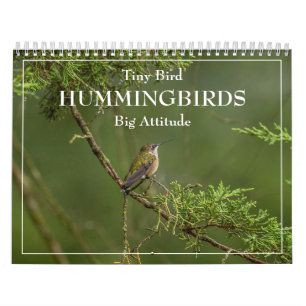 Hummingvogels Grote Vogelstand Kalender