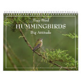 Hummingvogels Grote Vogelstand Kalender (Hoes)