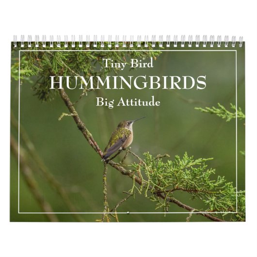 Hummingvogels Grote Vogelstand Kalender (Hoes)