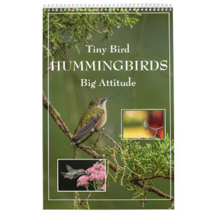 Hummingvogels Grote Vogelstand Kalender