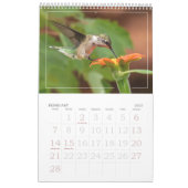 Hummingvogels Grote Vogelstand Kalender (Feb 2027)