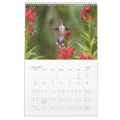 Hummingvogels Grote Vogelstand Kalender (Jan 2027)