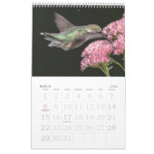 Hummingvogels Grote Vogelstand Kalender (Mar 2026)