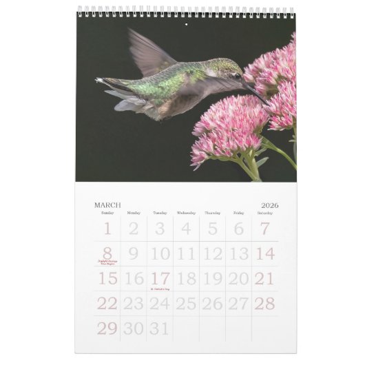 Hummingvogels Grote Vogelstand Kalender (Mar 2026)