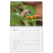 Hummingvogels Grote Vogelstand Kalender (Feb 2027)