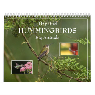 Hummingvogels Grote Vogelstand Kalender