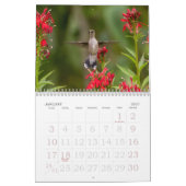 Hummingvogels Grote Vogelstand Kalender (Jan 2027)