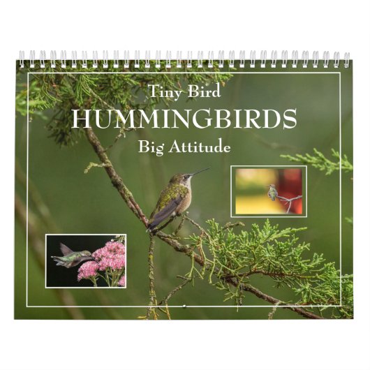 Hummingvogels Grote Vogelstand Kalender (Hoes)