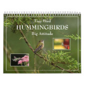 Hummingvogels Grote Vogelstand Kalender (Hoes)