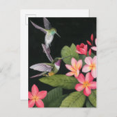 Hummingvogels in de Plumeria Briefkaart (Voorkant / Achterkant)