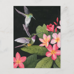 Hummingvogels in de Plumeria Briefkaart
